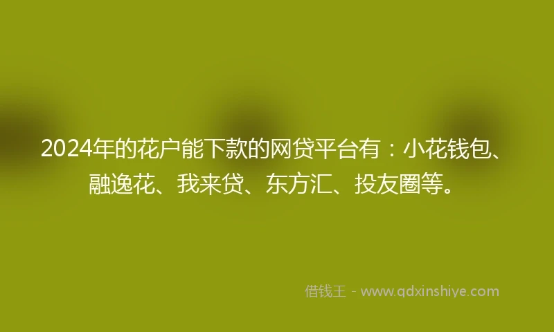2024年的花户能下款的网贷平台有：小花钱包、融逸花、我来贷、东方汇、投友圈等。