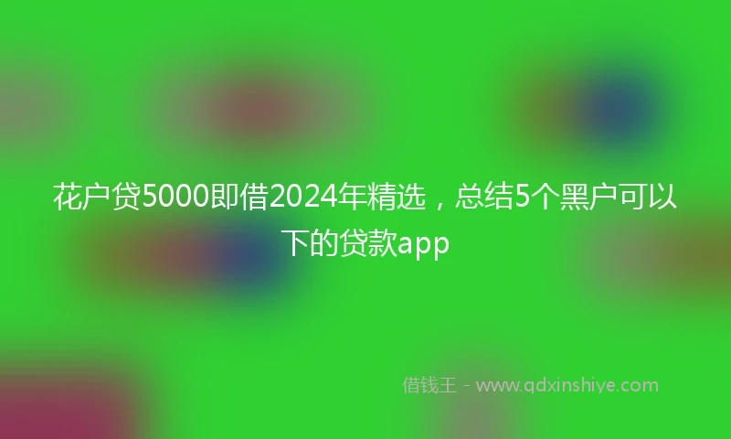 花户贷5000即借2024年精选，总结5个黑户可以下的贷款app