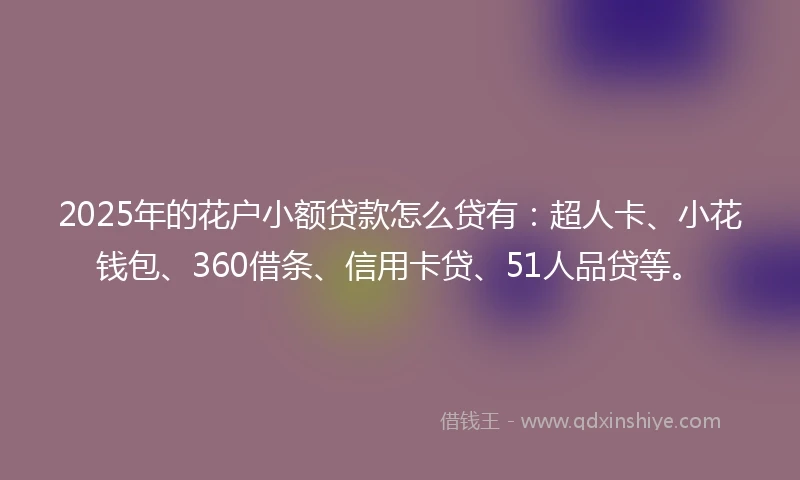 2025年的花户小额贷款怎么贷有：超人卡、小花钱包、360借条、信用卡贷、51人品贷等。