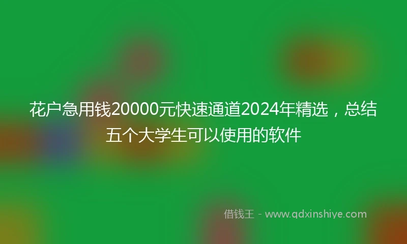 花户急用钱20000元快速通道2024年精选,总结五个大学生可以使用的软件
