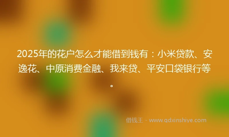 2025年的花户怎么才能借到钱有:小米贷款、安逸花、中原消费金融、我来贷、平安口袋银行等。