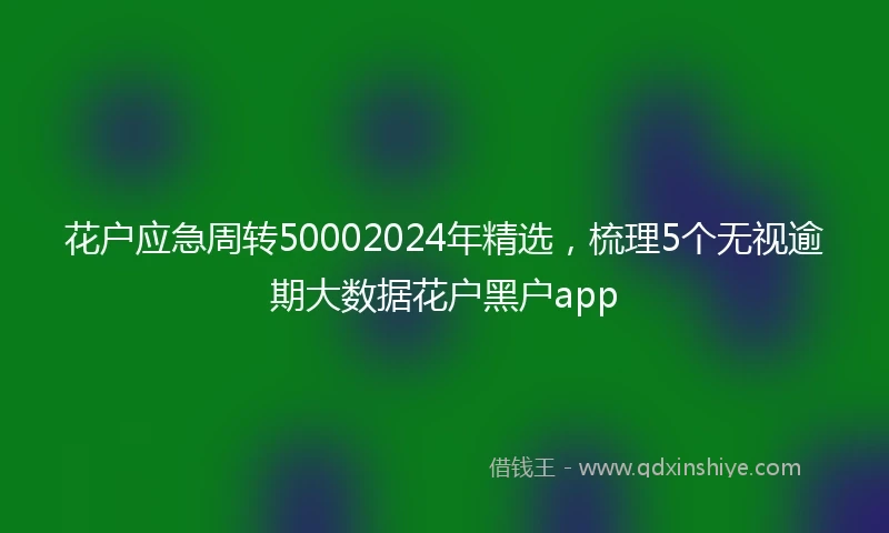 花户应急周转50002024年精选，梳理5个无视逾期大数据花户黑户app