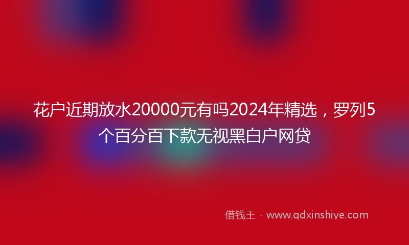花户近期放水20000元有吗2024年精选，罗列5个百分百下款无视黑白户网贷