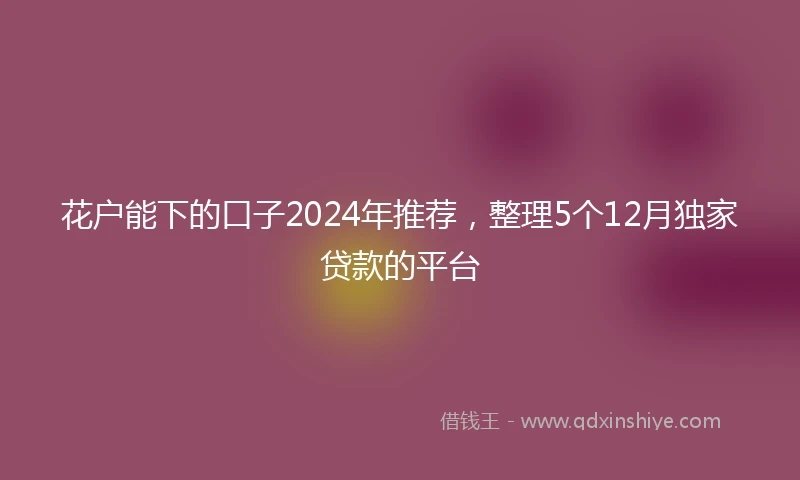 花户能下的口子2024年推荐，整理5个12月独家贷款的平台