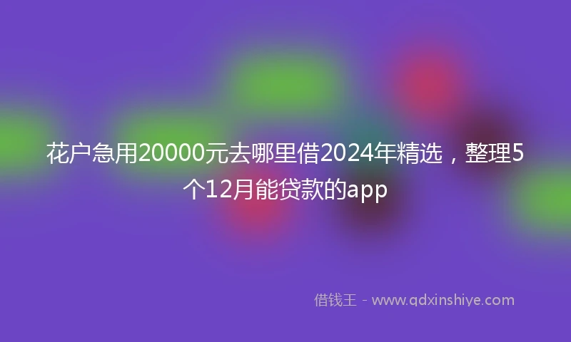 花户急用20000元去哪里借2024年精选，整理5个12月能贷款的app
