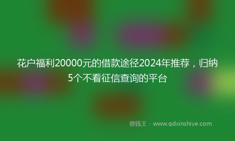 花户福利20000元的借款途径2024年推荐，归纳5个不看征信查询的平台