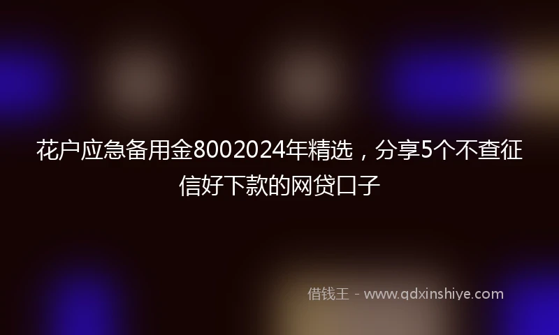 花户应急备用金8002024年精选，分享5个不查征信好下款的网贷口子