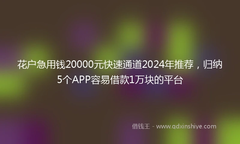 花户急用钱20000元快速通道2024年推荐，归纳5个APP容易借款1万块的平台