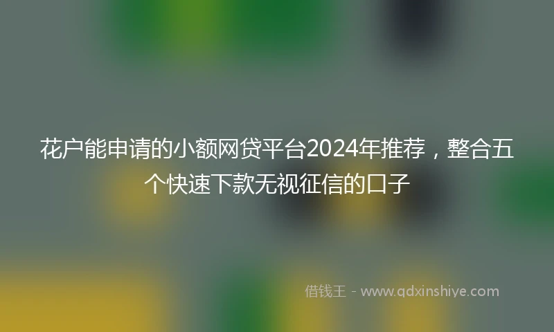 花户能申请的小额网贷平台2024年推荐，整合五个快速下款无视征信的口子