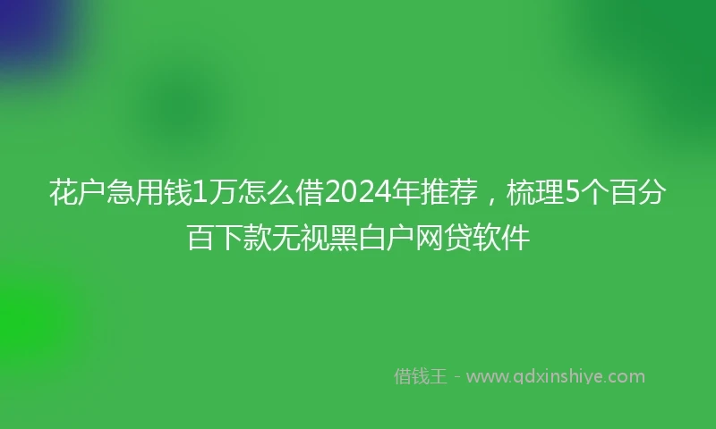 花户急用钱1万怎么借2024年推荐，梳理5个百分百下款无视黑白户网贷软件