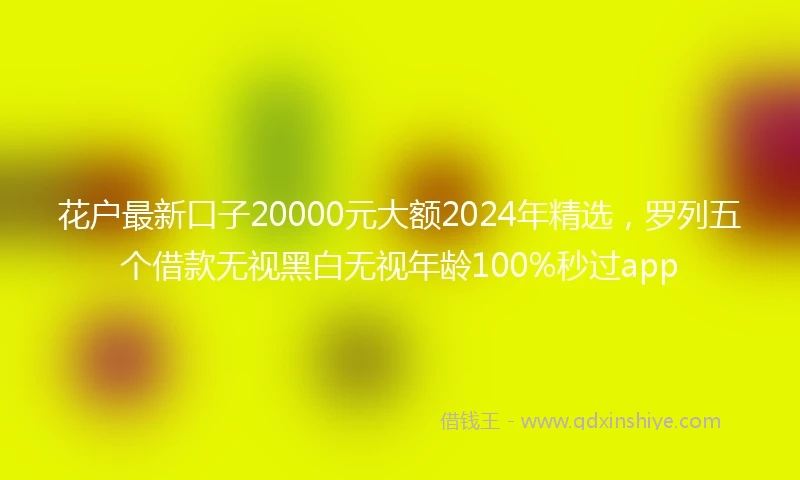 花户最新口子20000元大额2024年精选，罗列五个借款无视黑白无视年龄100%秒过app