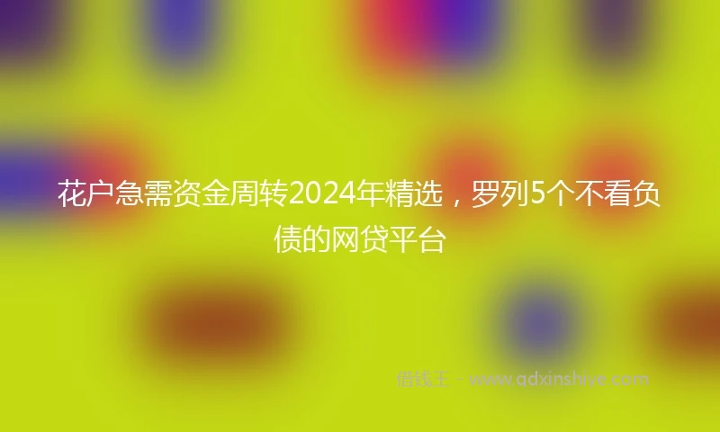 花户急需资金周转2024年精选，罗列5个不看负债的网贷平台