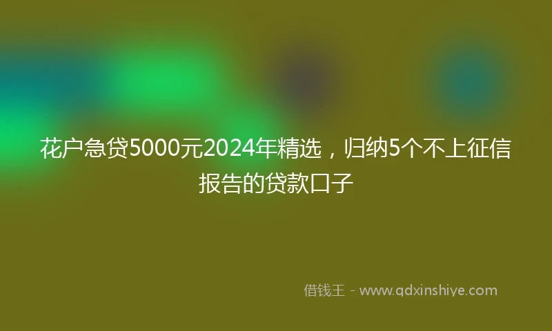 花户急贷5000元2024年精选，归纳5个不上征信报告的贷款口子