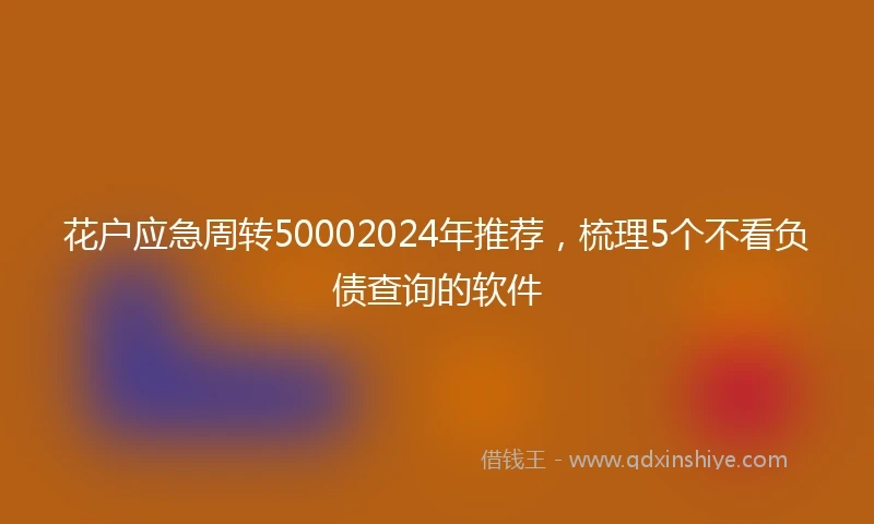 花户应急周转50002024年推荐，梳理5个不看负债查询的软件