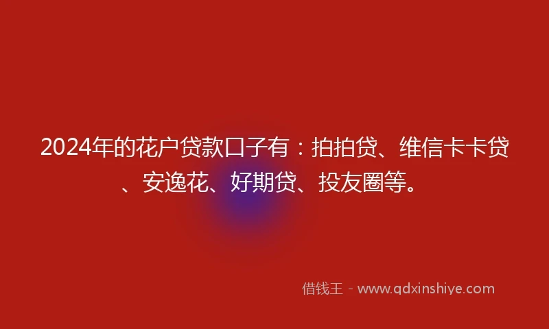 2024年的花户贷款口子有：拍拍贷、维信卡卡贷、安逸花、好期贷、投友圈等。