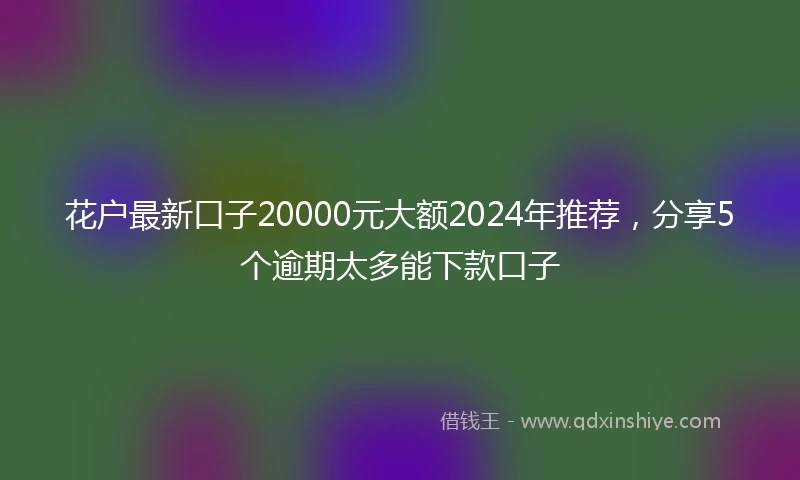 花户最新口子20000元大额2024年推荐，分享5个逾期太多能下款口子