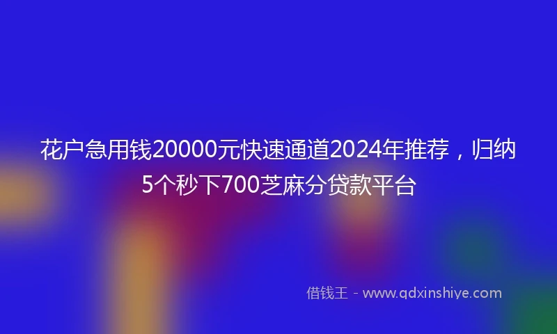 花户急用钱20000元快速通道2024年推荐，归纳5个秒下700芝麻分贷款平台