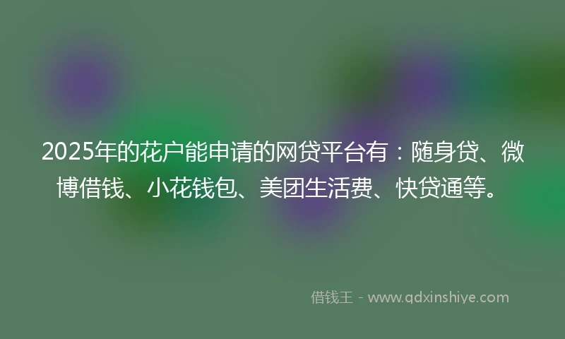 2025年的花户能申请的网贷平台有：随身贷、微博借钱、小花钱包、美团生活费、快贷通等。