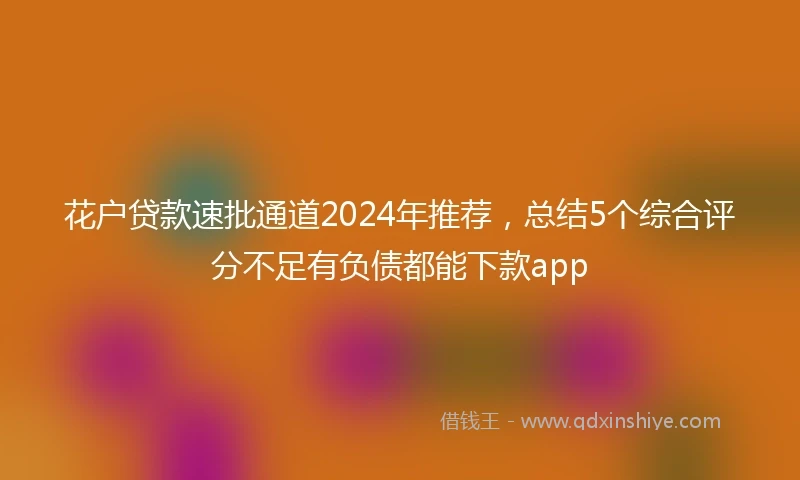 花户贷款速批通道2024年推荐，总结5个综合评分不足有负债都能下款app