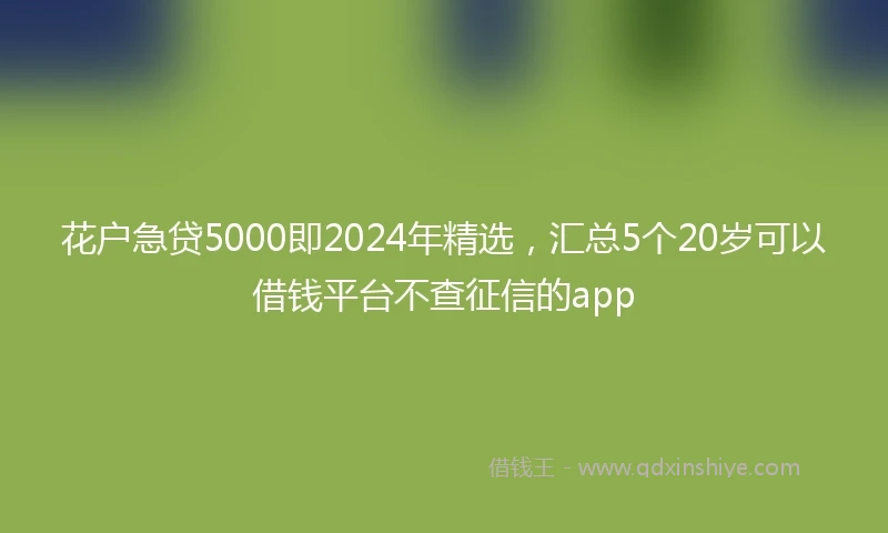花户急贷5000即2024年精选，汇总5个20岁可以借钱平台不查征信的app