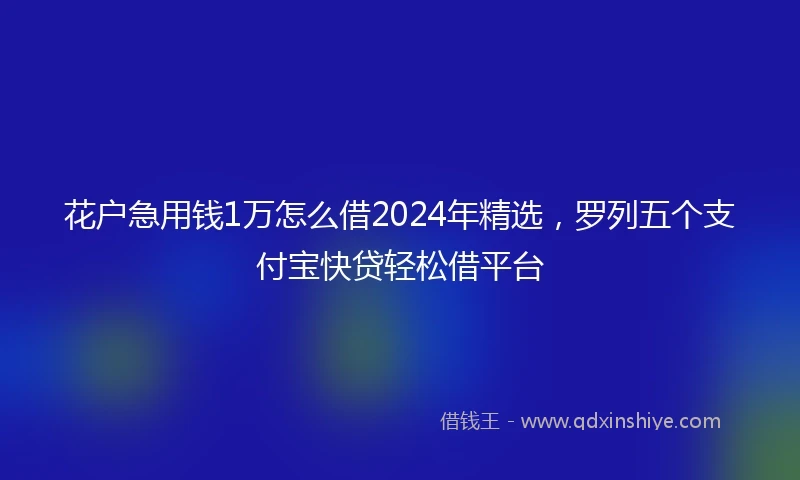 花户急用钱1万怎么借2024年精选，罗列五个支付宝快贷轻松借平台