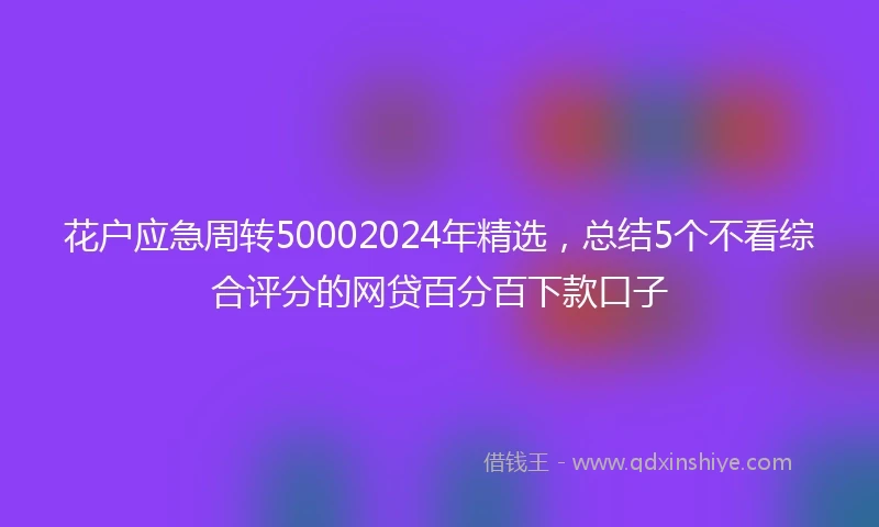 花户应急周转50002024年精选,总结5个不看综合评分的网贷百分百下款口子