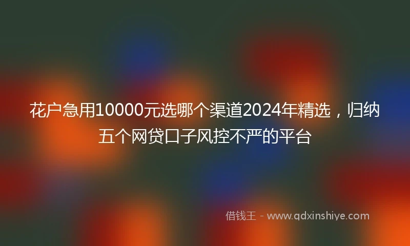 花户急用10000元选哪个渠道2024年精选，归纳五个网贷口子风控不严的平台
