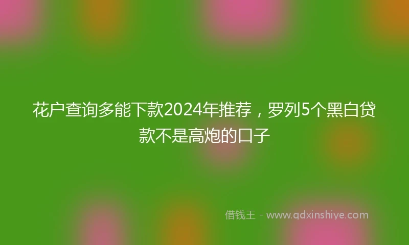 花户查询多能下款2024年推荐，罗列5个黑白贷款不是高炮的口子