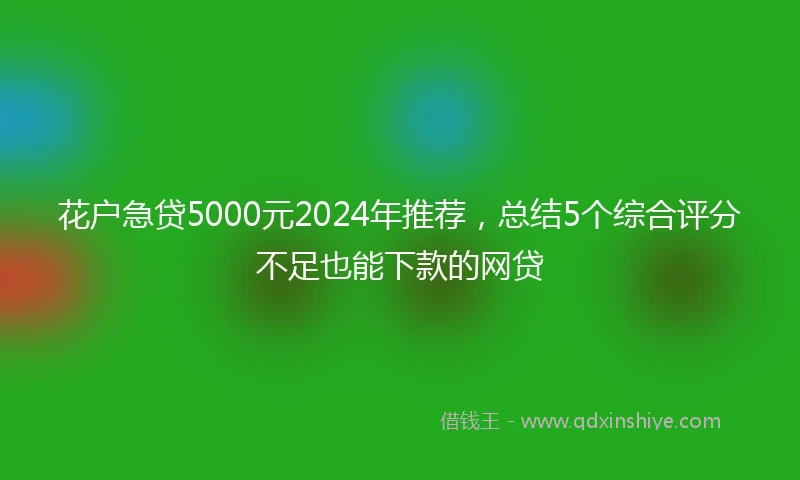 花户急贷5000元2024年推荐，总结5个综合评分不足也能下款的网贷