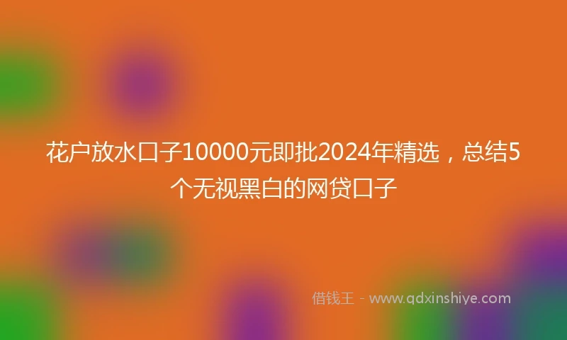 花户放水口子10000元即批2024年精选，总结5个无视黑白的网贷口子