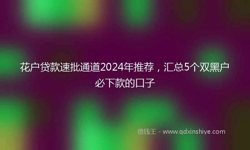 花户贷款速批通道2024年推荐，汇总5个双黑户必下款的口子