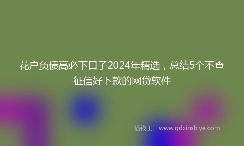 花户负债高必下口子2024年精选，总结5个不查征信好下款的网贷软件