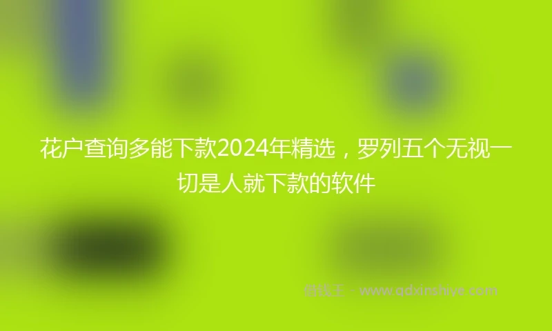 花户查询多能下款2024年精选，罗列五个无视一切是人就下款的软件