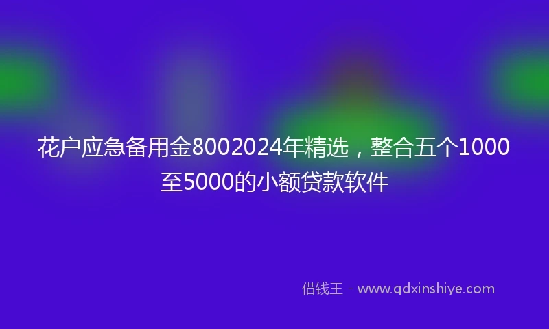 花户应急备用金8002024年精选,整合五个1000至5000的小额贷款软件