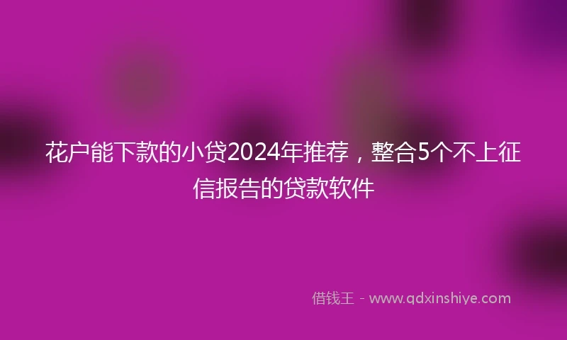 花户能下款的小贷2024年推荐，整合5个不上征信报告的贷款软件