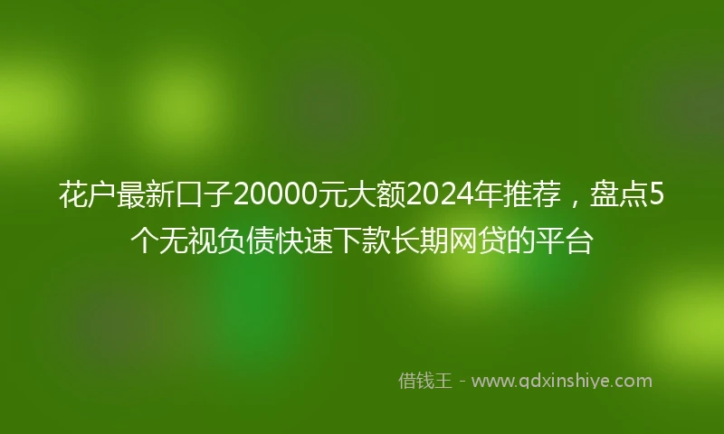 花户最新口子20000元大额2024年推荐，盘点5个无视负债快速下款长期网贷的平台