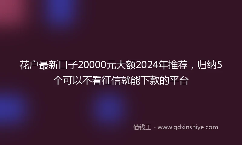 花户最新口子20000元大额2024年推荐，归纳5个可以不看征信就能下款的平台