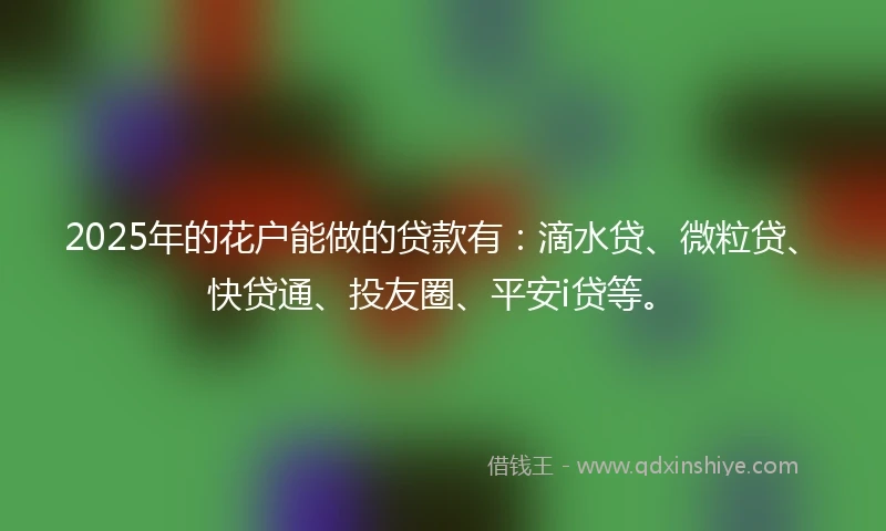 2025年的花户能做的贷款有：滴水贷、微粒贷、快贷通、投友圈、平安i贷等。