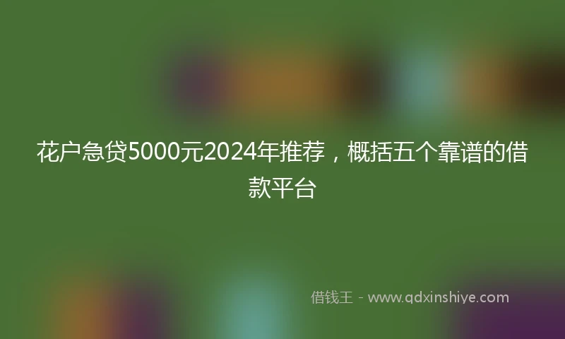 花户急贷5000元2024年推荐，概括五个靠谱的借款平台