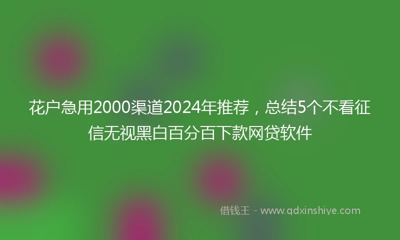 花户急用2000渠道2024年推荐,总结5个不看征信无视黑白百分百下款网贷软件