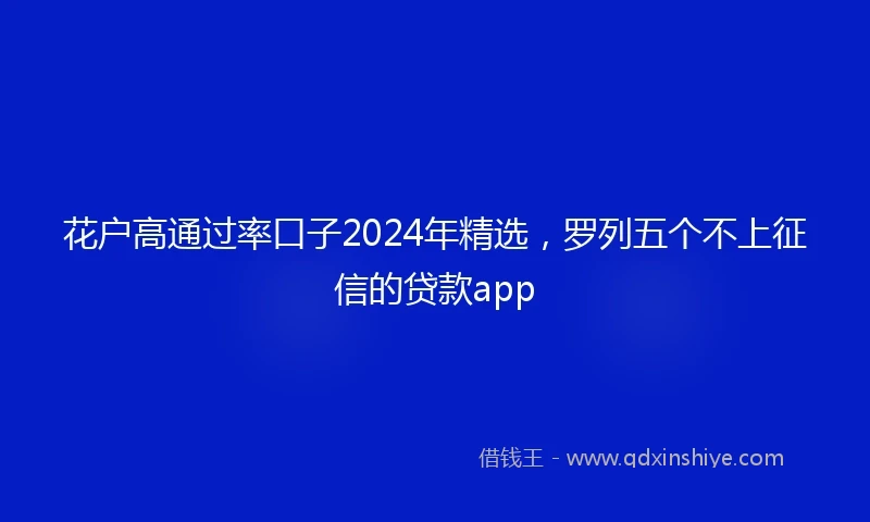 花户高通过率口子2024年精选，罗列五个不上征信的贷款app