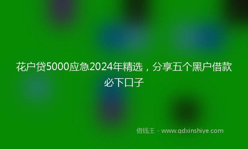 花户贷5000应急2024年精选，分享五个黑户借款必下口子