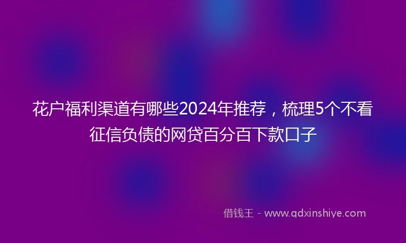 花户福利渠道有哪些2024年推荐，梳理5个不看征信负债的网贷百分百下款口子