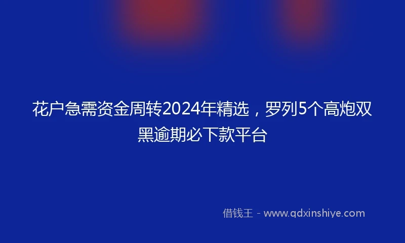 花户急需资金周转2024年精选，罗列5个高炮双黑逾期必下款平台