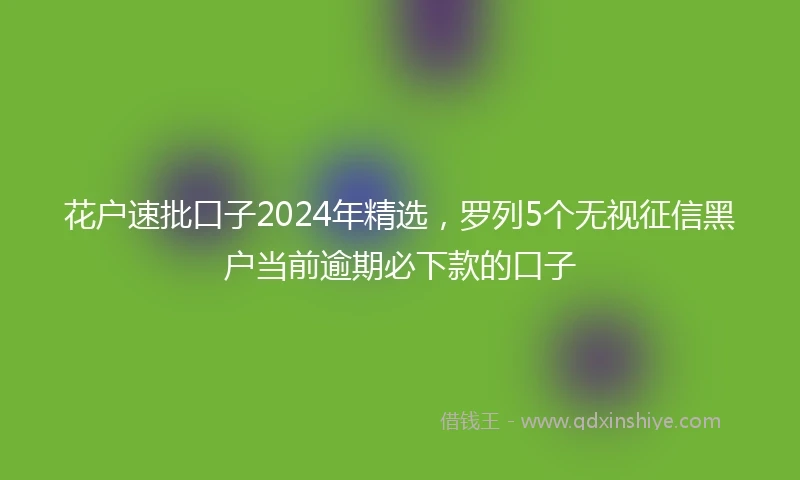花户速批口子2024年精选，罗列5个无视征信黑户当前逾期必下款的口子