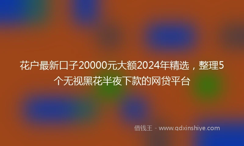 花户最新口子20000元大额2024年精选，整理5个无视黑花半夜下款的网贷平台