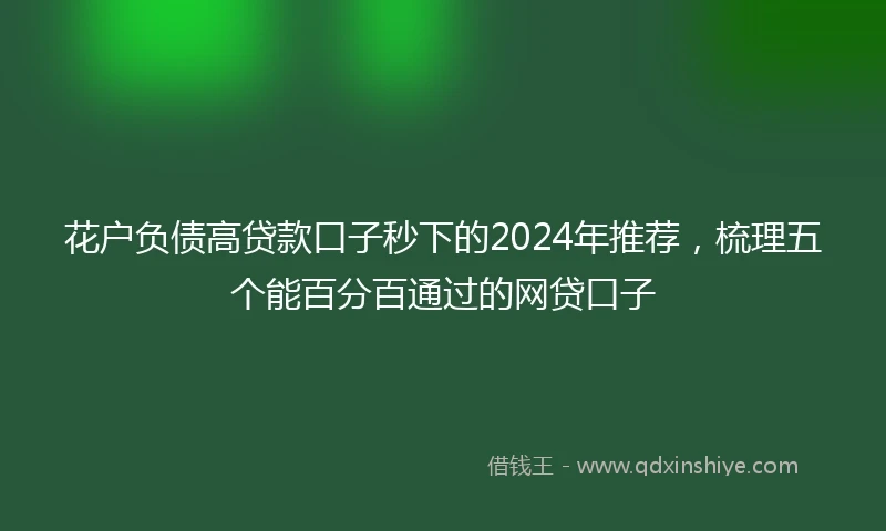 花户负债高贷款口子秒下的2024年推荐，梳理五个能百分百通过的网贷口子