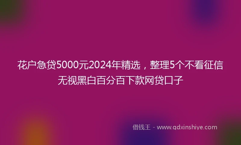 花户急贷5000元2024年精选，整理5个不看征信无视黑白百分百下款网贷口子
