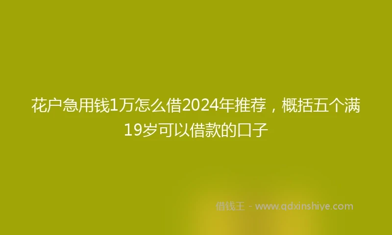 花户急用钱1万怎么借2024年推荐，概括五个满19岁可以借款的口子
