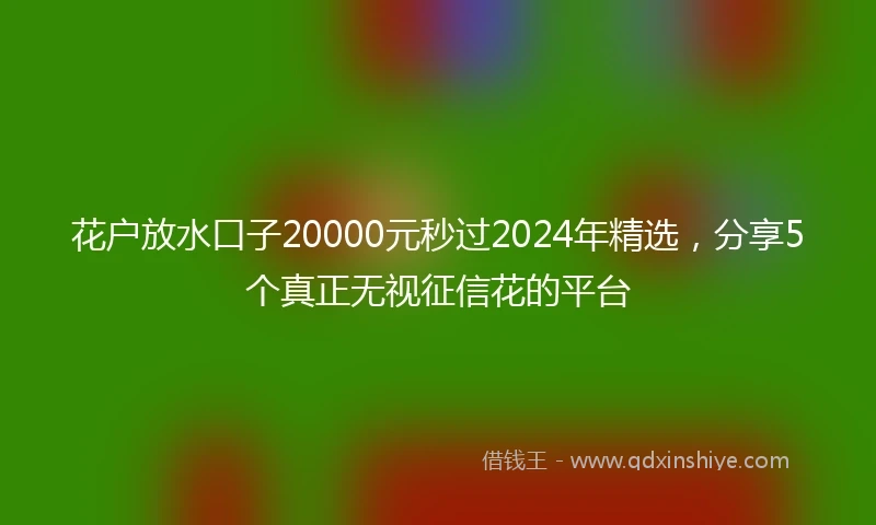 花户放水口子20000元秒过2024年精选，分享5个真正无视征信花的平台